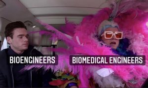 photo of a dull and drab man labeled bio engineers next to a flashy person in a pink boa get up and fabulous pink glasses labeled biomedical engineers